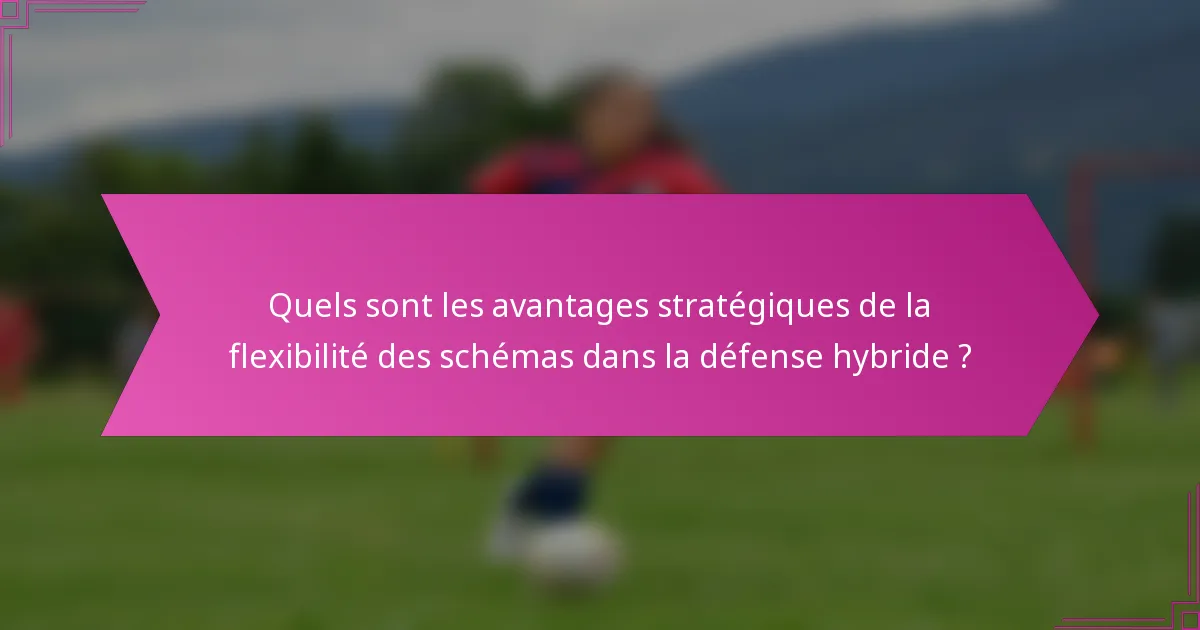 Quels sont les avantages stratégiques de la flexibilité des schémas dans la défense hybride ?